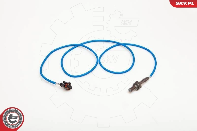 Oxygen Sensor 09SKV004