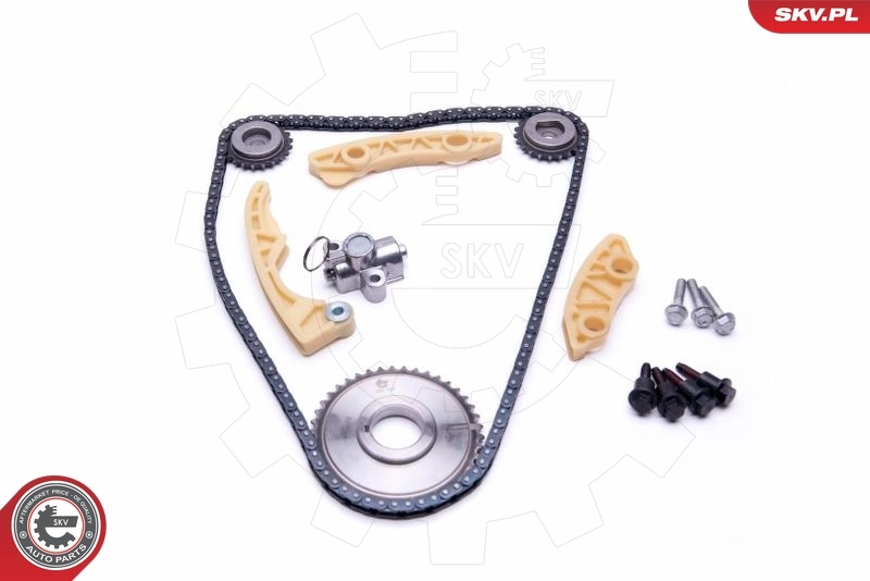 Timing Chain Kit 21SKV186