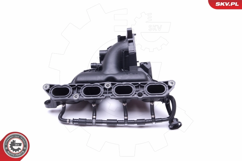 Intake Manifold Module 49SKV045