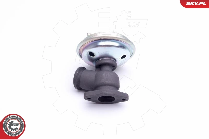 EGR Valve 14SKV203