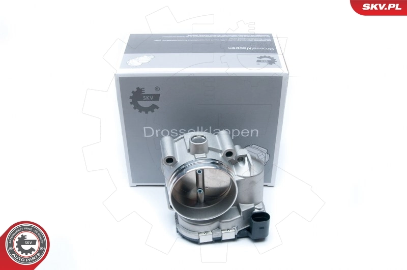 Throttle Body 12SKV052