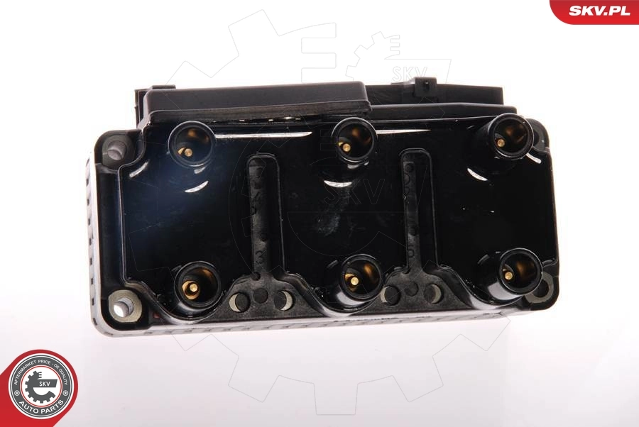 Ignition Coil 03SKV049