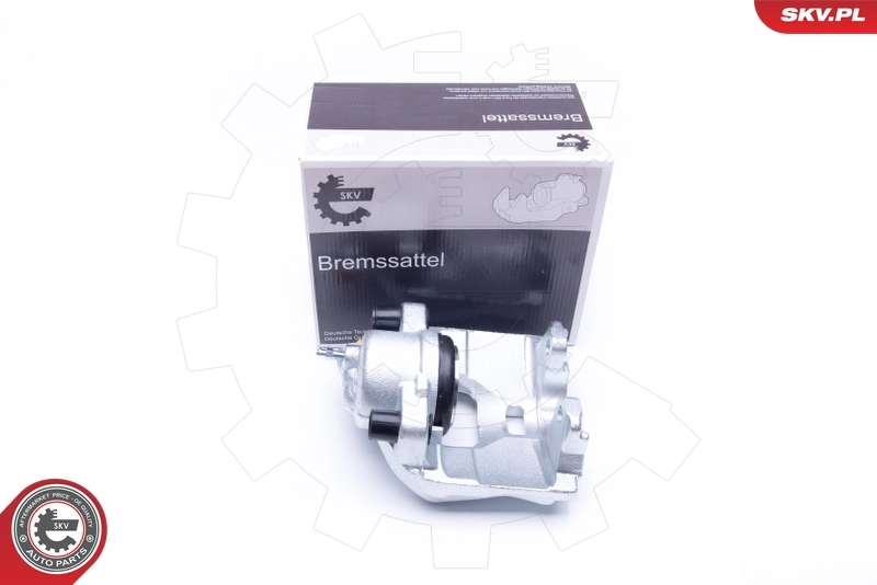 Brake Caliper 42SKV312