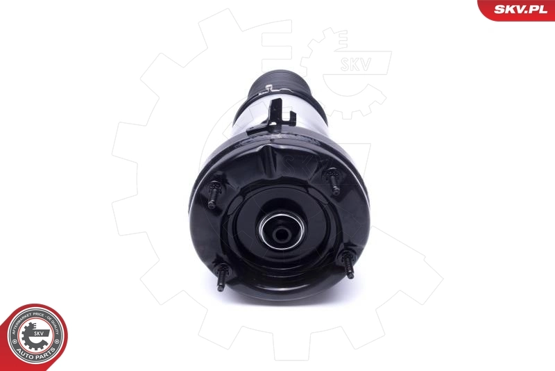 Air Suspension Strut 58SKV069
