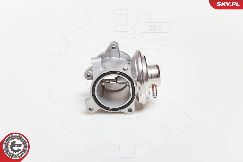 EGR Valve 14SKV034