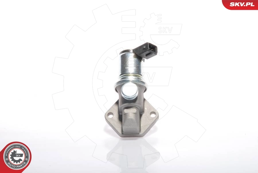 Idle Control Valve, air supply 08SKV224