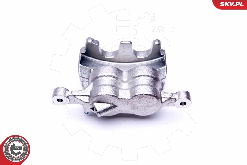 Brake Caliper 50SKV012