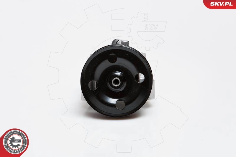 Hydraulic Pump, steering 10SKV091