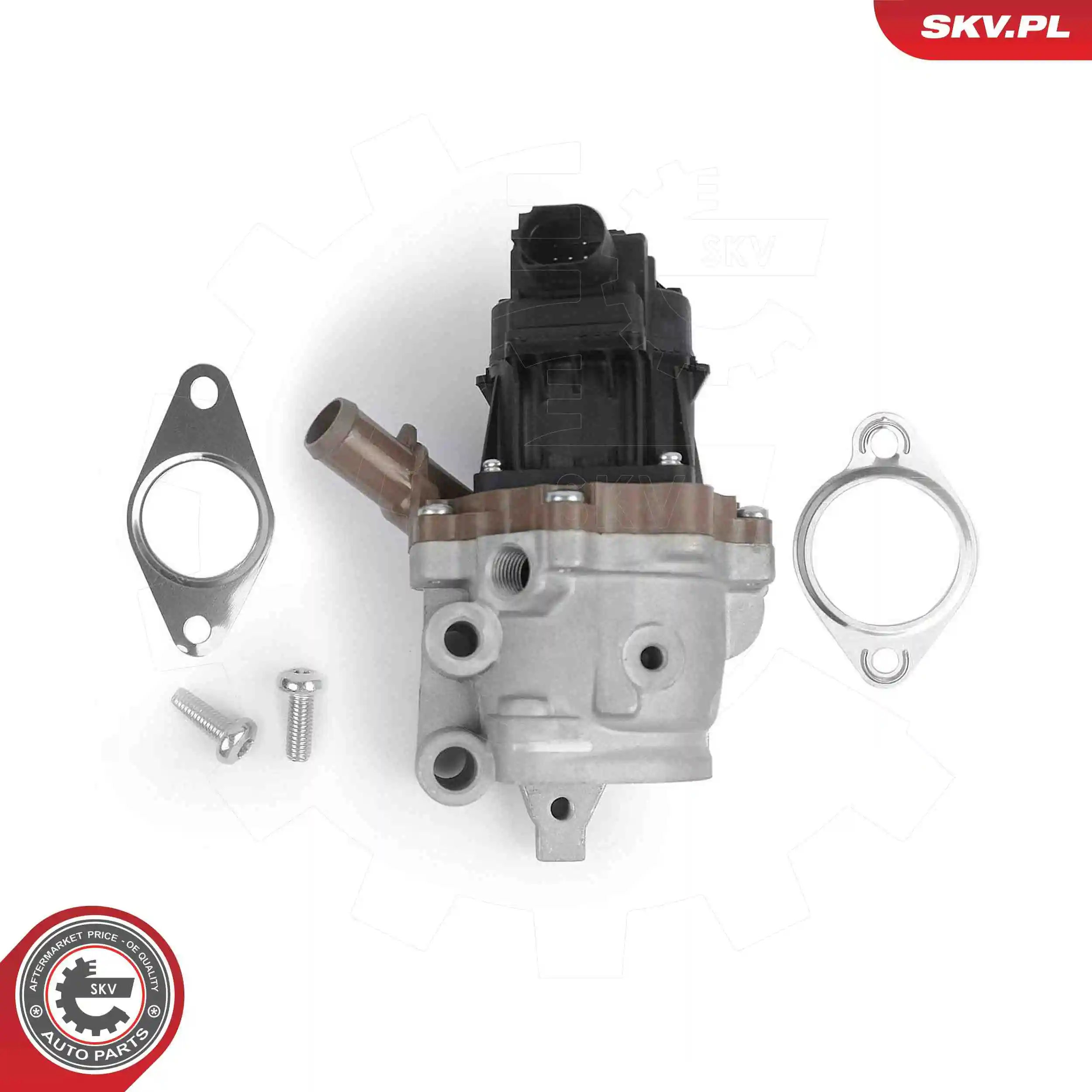 EGR Valve 14SKV313