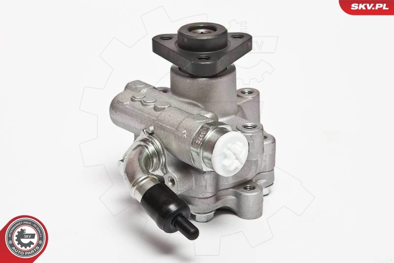 Hydraulic Pump, steering 10SKV075