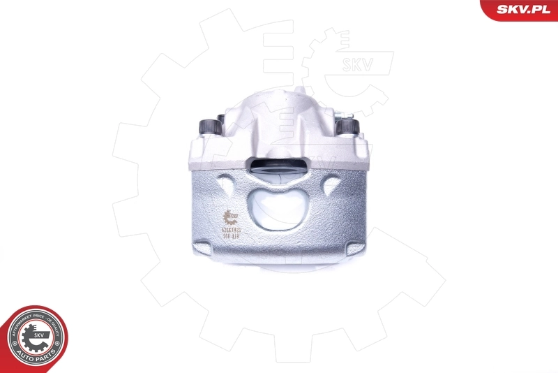 Brake Caliper 42SKV821