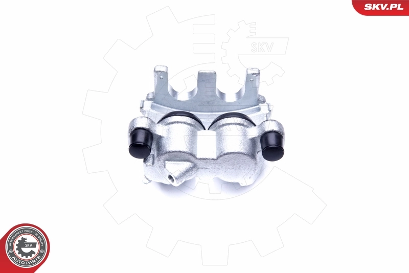 Brake Caliper 45SKV022