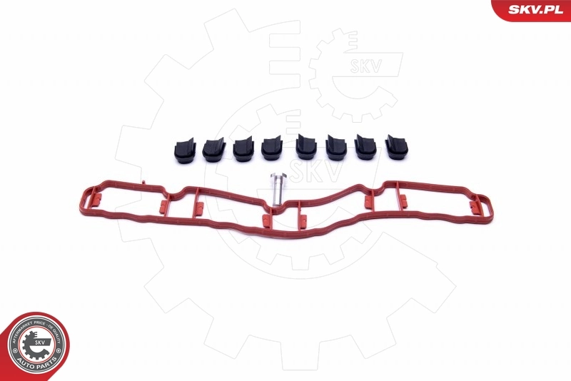 Repair Kit, intake manifold module 49SKV514