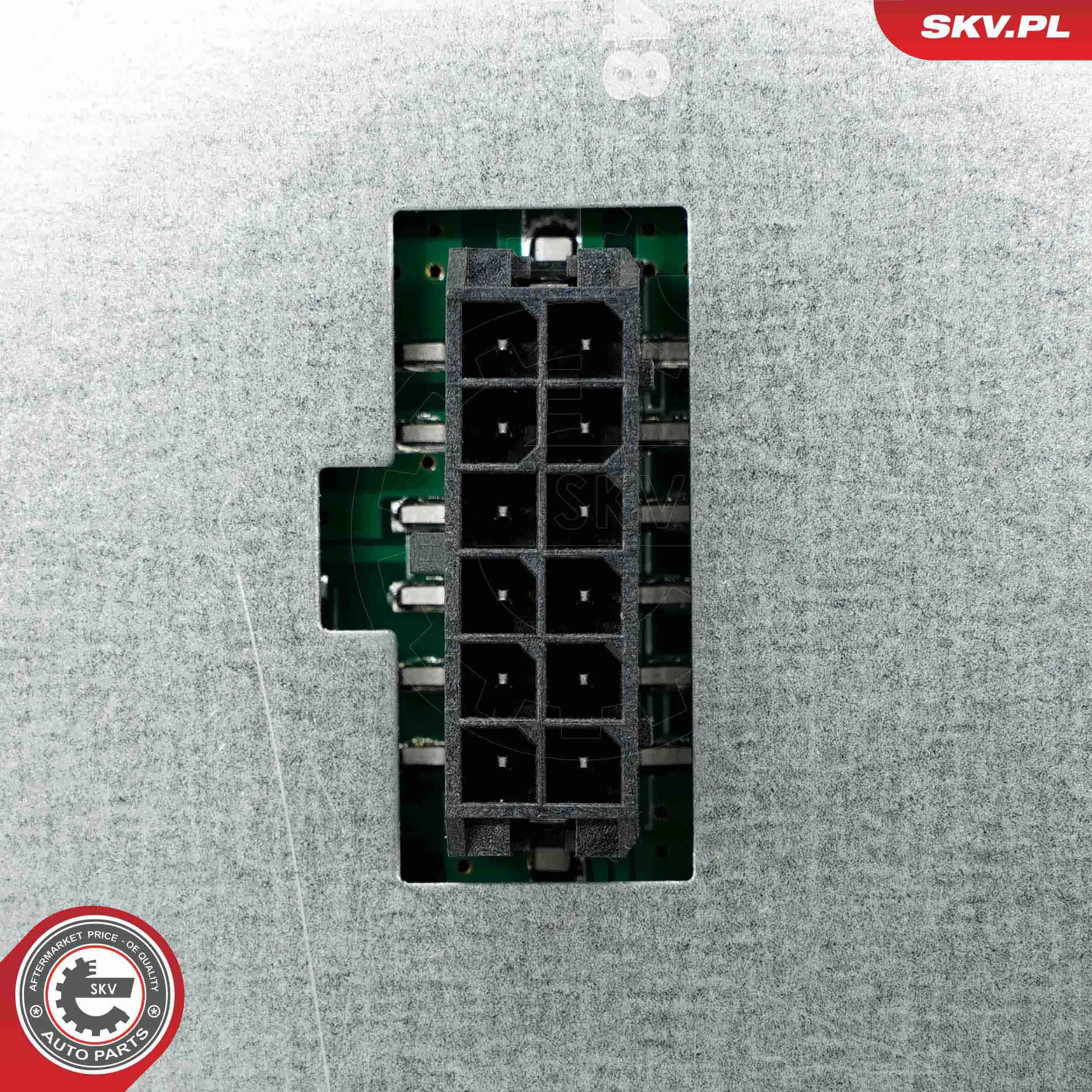 ESEN SKV 59SKV248 Control Unit, lights