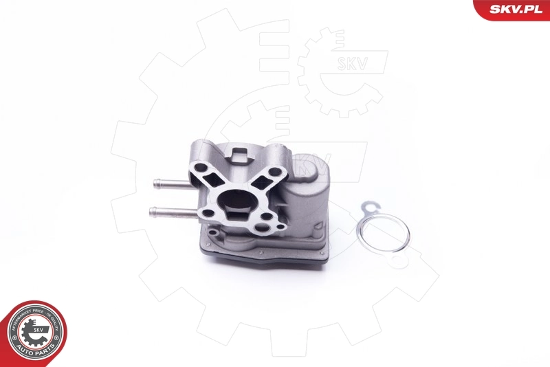 EGR Valve 14SKV103