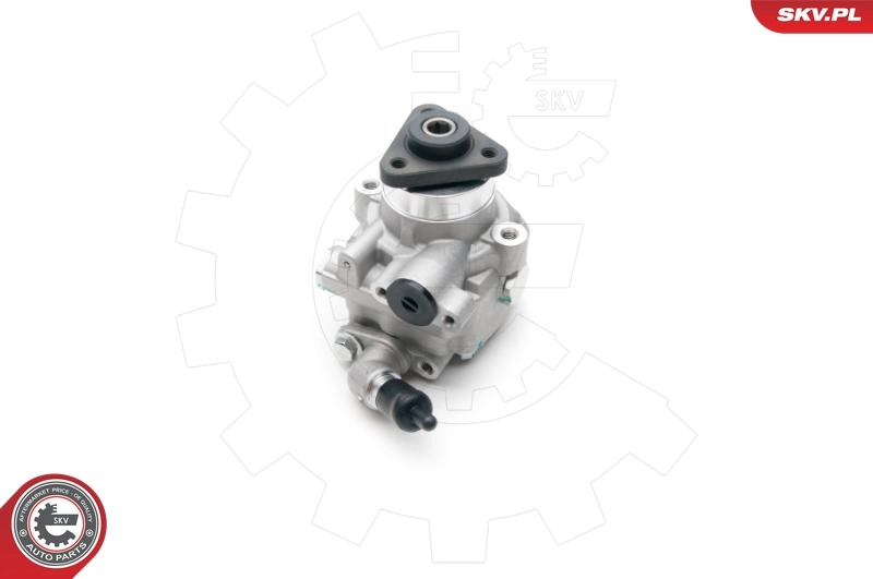 Hydraulic Pump, steering 10SKV194