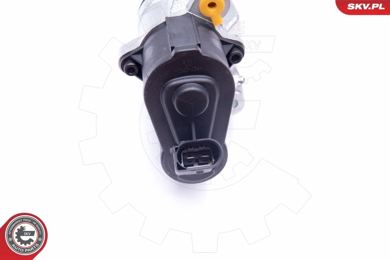 ESEN SKV 34SKV793 Brake Caliper