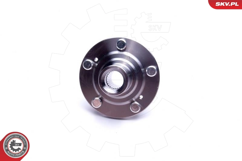 ESEN SKV 29SKV469 Wheel Bearing Kit