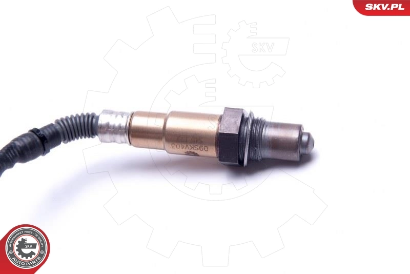 Oxygen Sensor 09SKV403