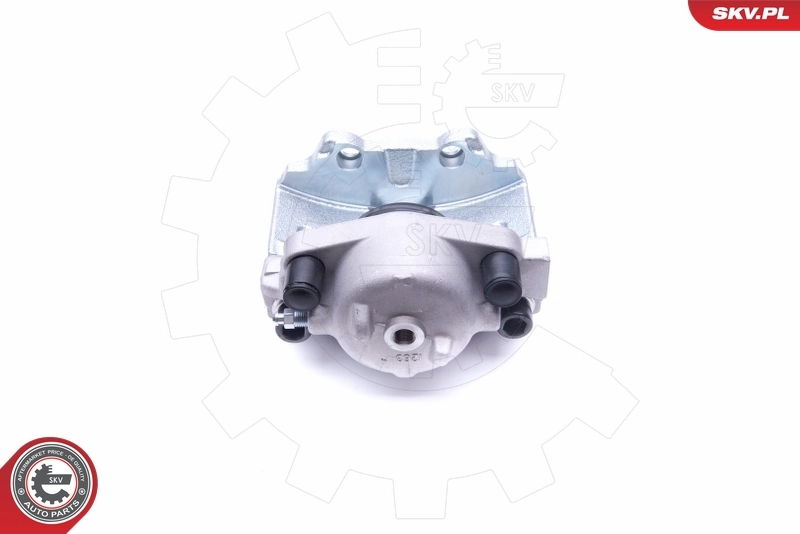 Brake Caliper 42SKV822