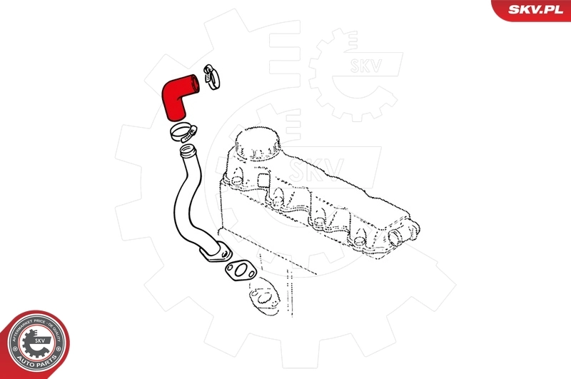 Hose, crankcase ventilation 24SKV206