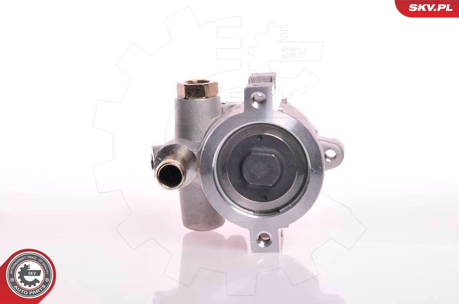 Hydraulic Pump, steering 10SKV147