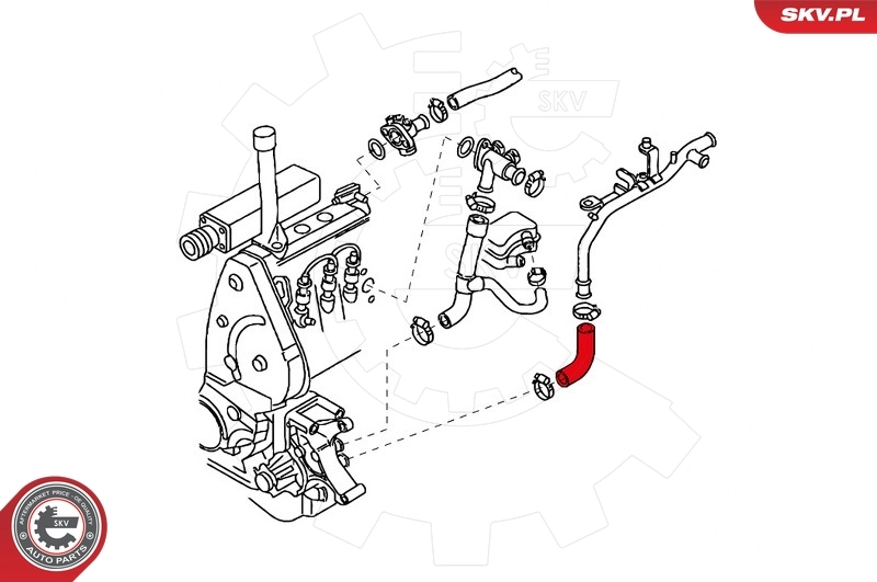 Radiator Hose 24SKV364