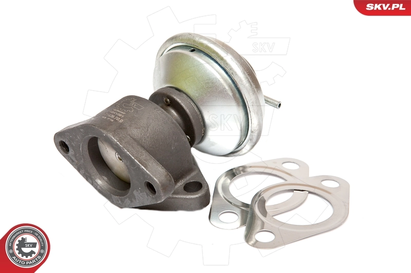 EGR Valve 14SKV051