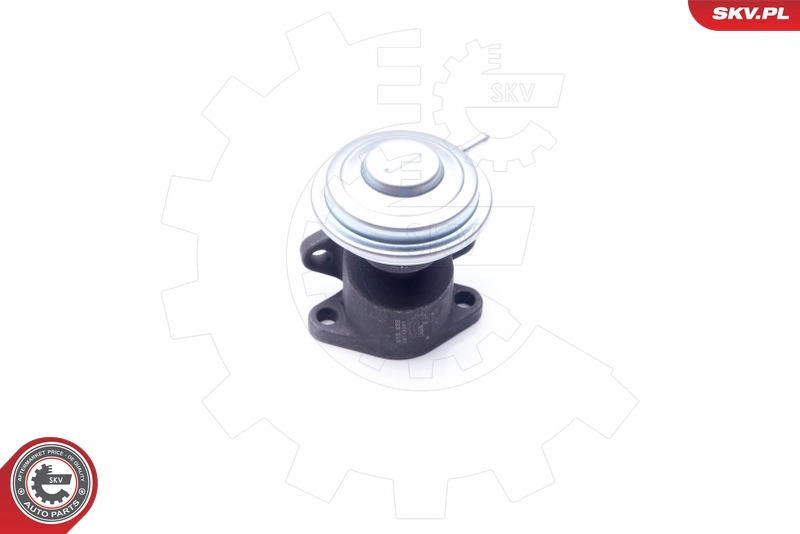 EGR Valve 14SKV183