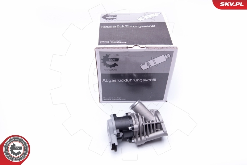 EGR Valve 14SKV173