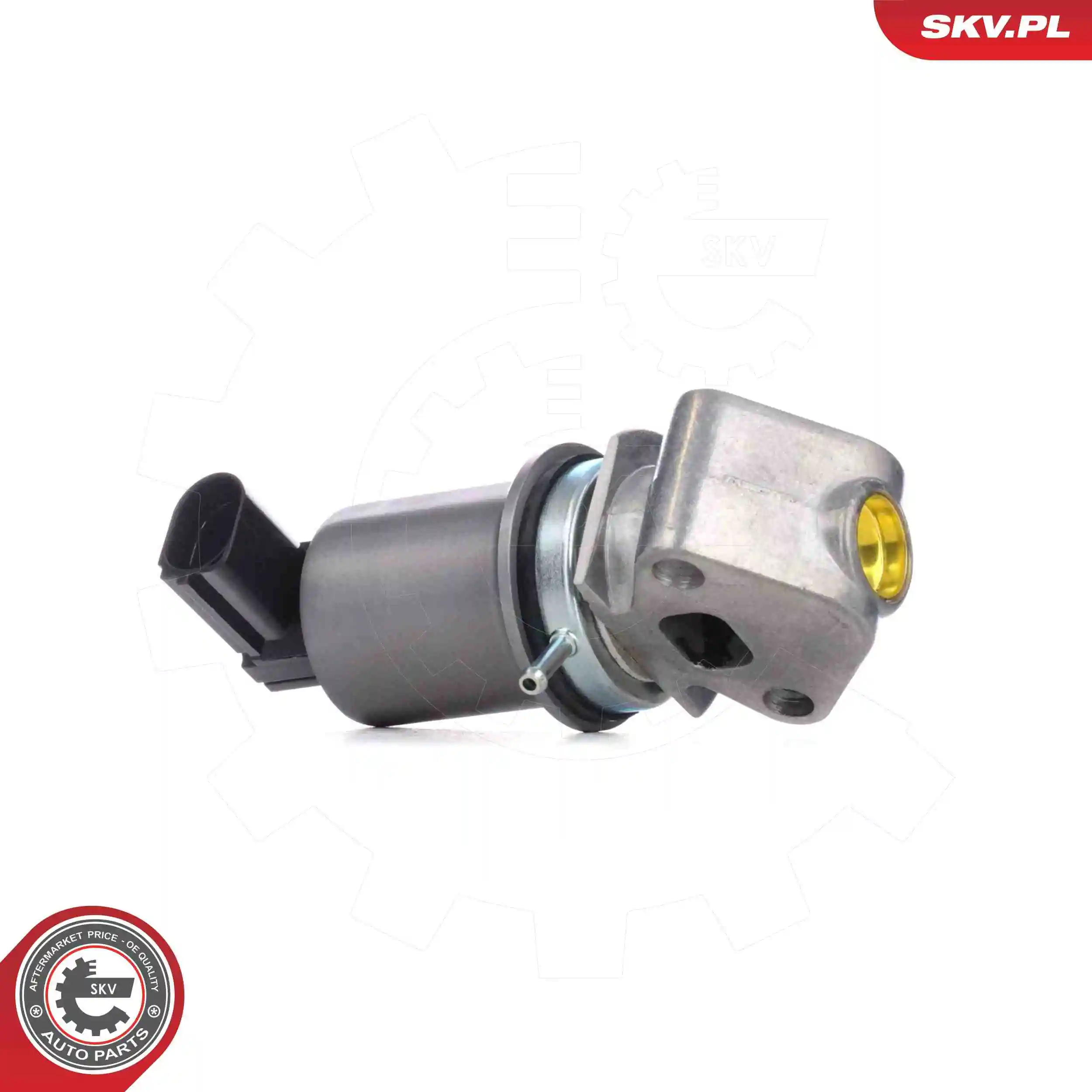 EGR Valve 14SKV293