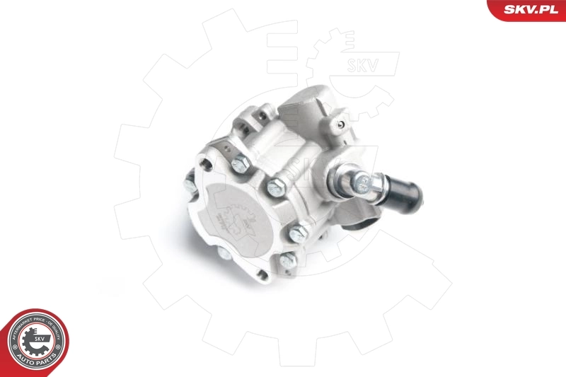 Hydraulic Pump, steering 10SKV173