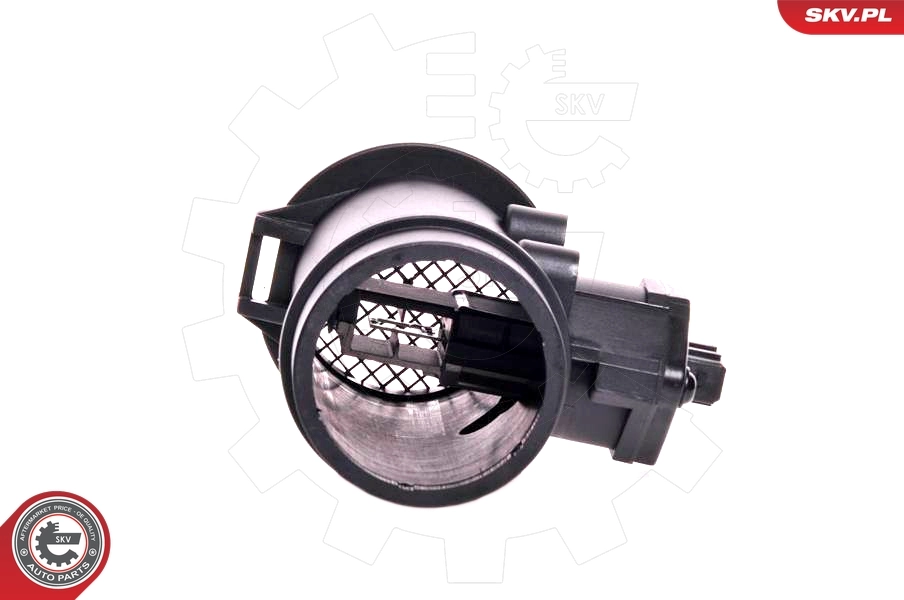 Mass Air Flow Sensor 07SKV007