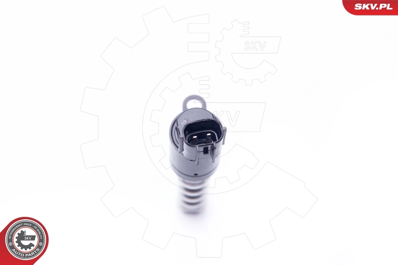 Control Valve, camshaft adjustment 39SKV021
