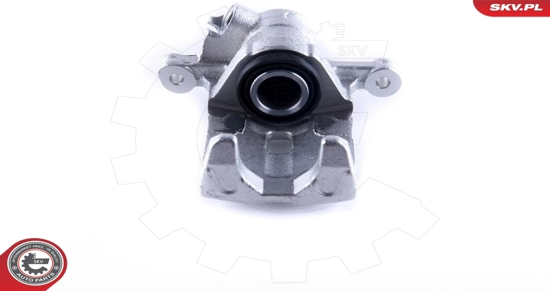 Brake Caliper 55SKV284