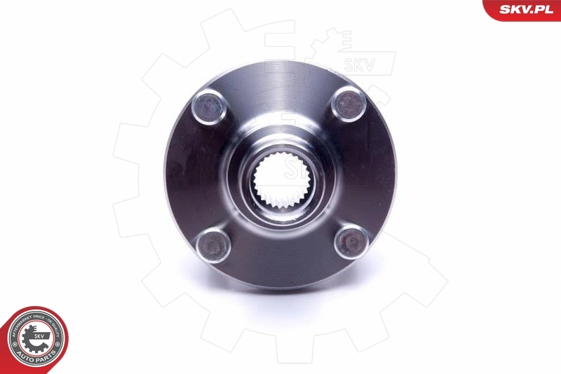 ESEN SKV 29SKV501 Wheel Bearing Kit