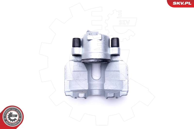Brake Caliper 46SKV051