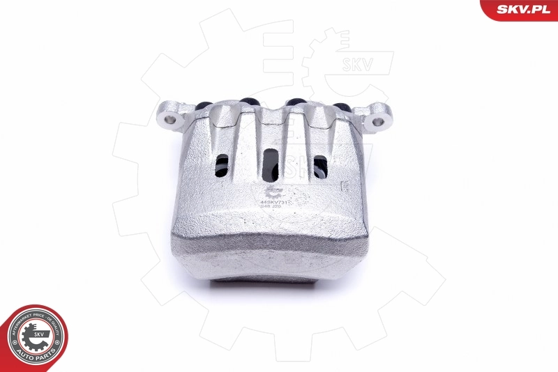 Brake Caliper 44SKV731
