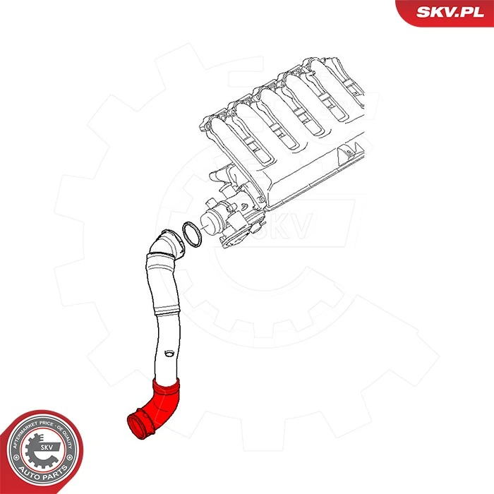 Charge Air Hose 43SKV458