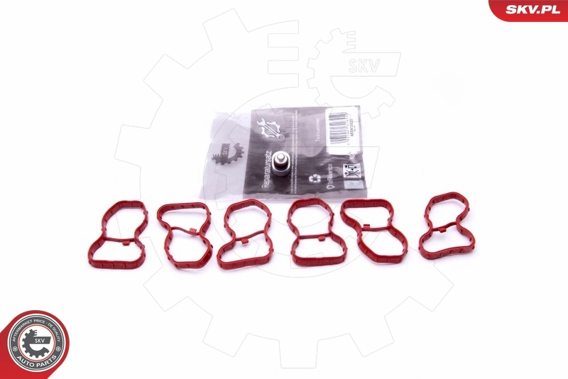 Repair Kit, intake manifold module 49SKV522