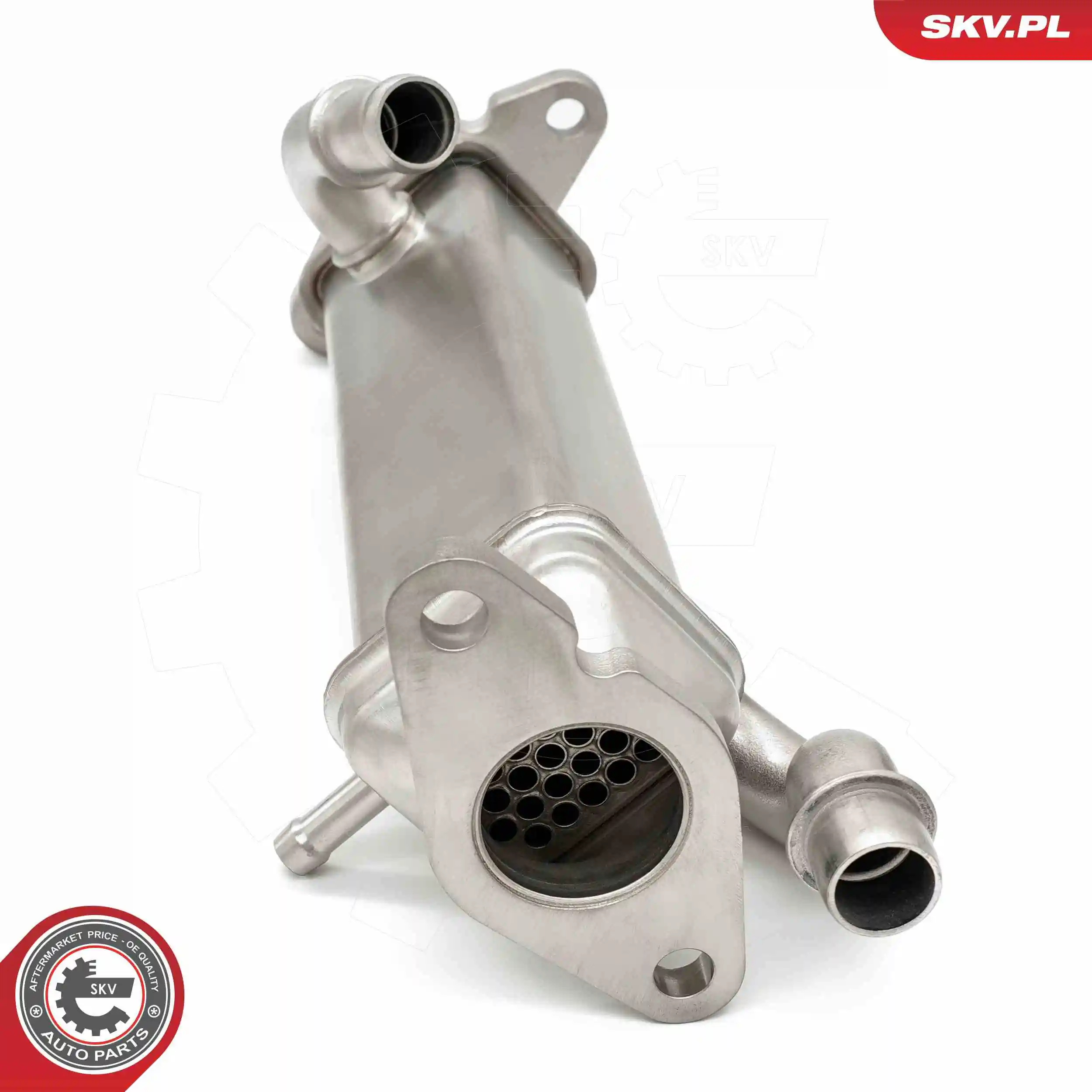 ESEN SKV 14SKV273 EGR Valve