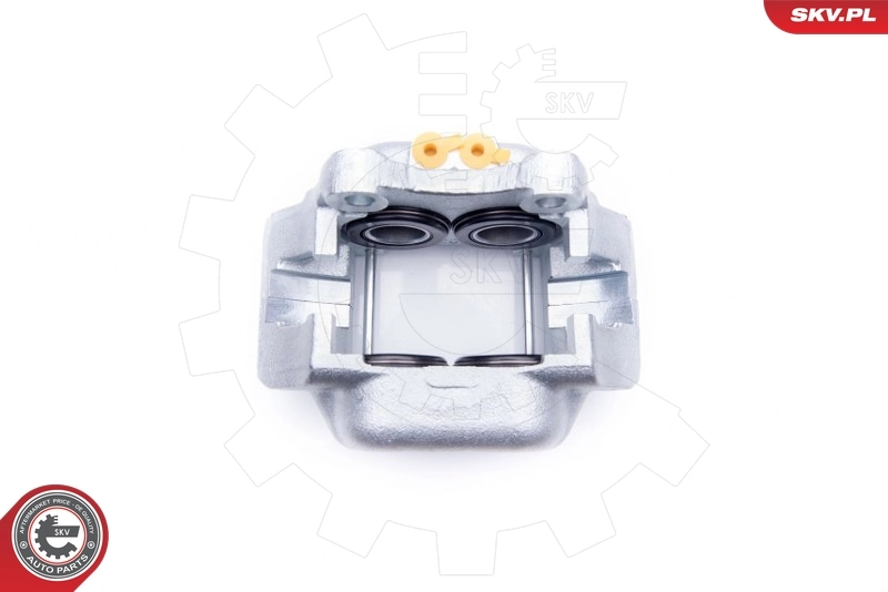Brake Caliper 42SKV001