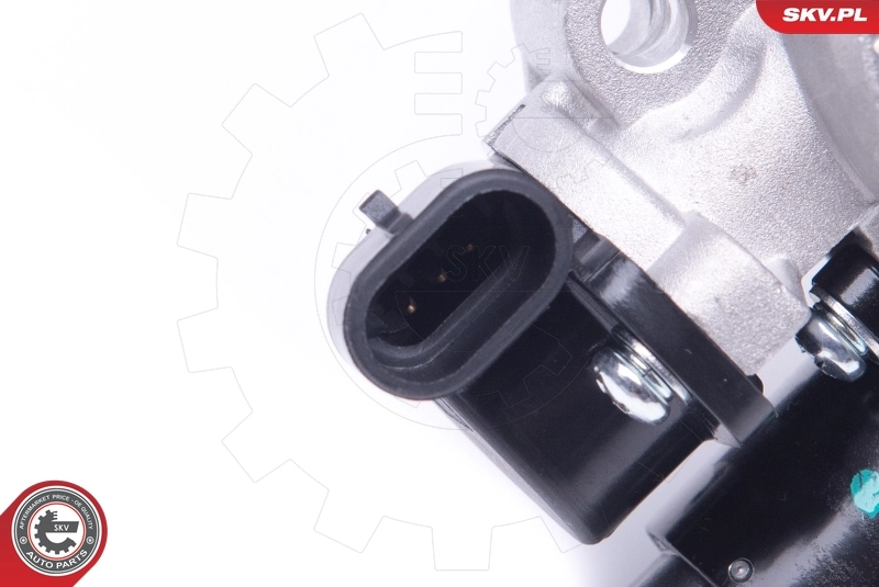 Throttle Body 12SKV083