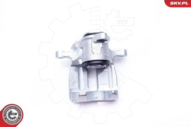 Brake Caliper 34SKV763
