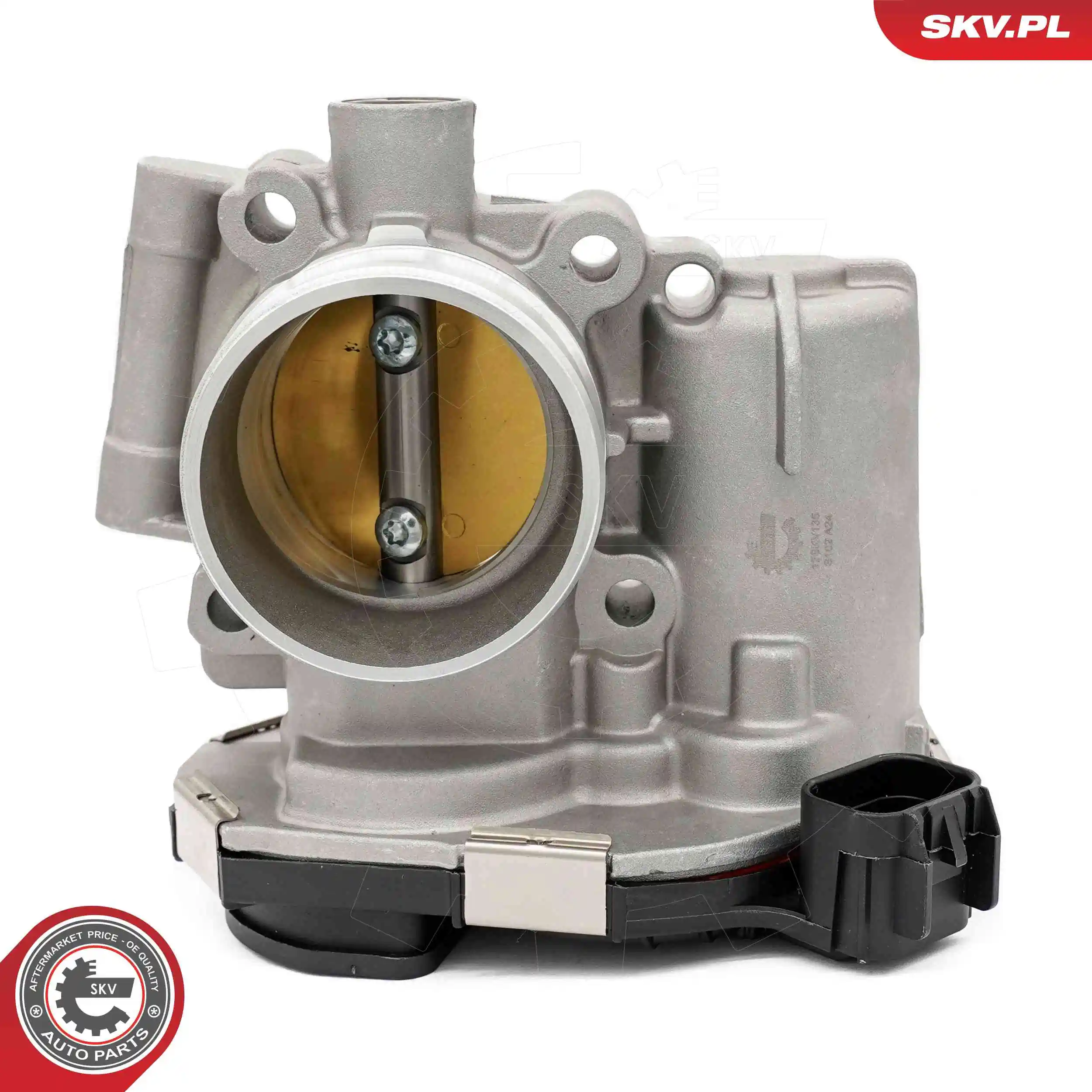 Throttle Body 12SKV135