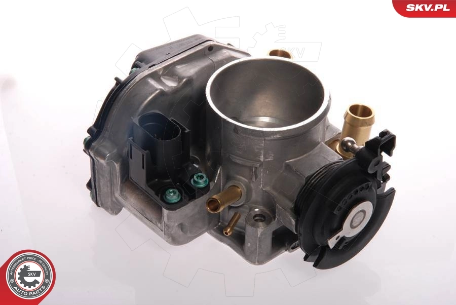 Throttle Body 12SKV018