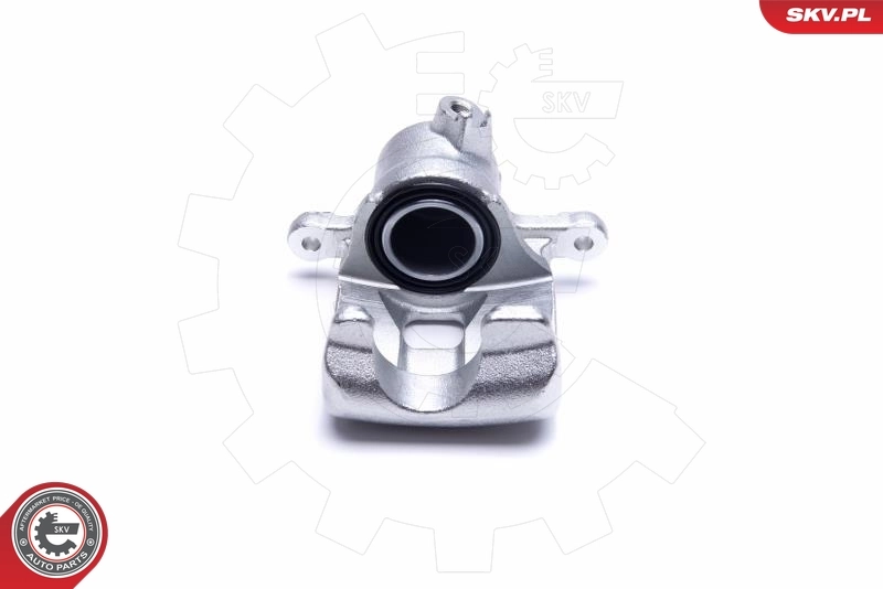 Brake Caliper 55SKV364