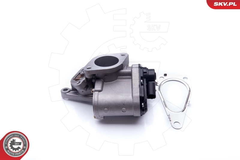 EGR Valve 14SKV168