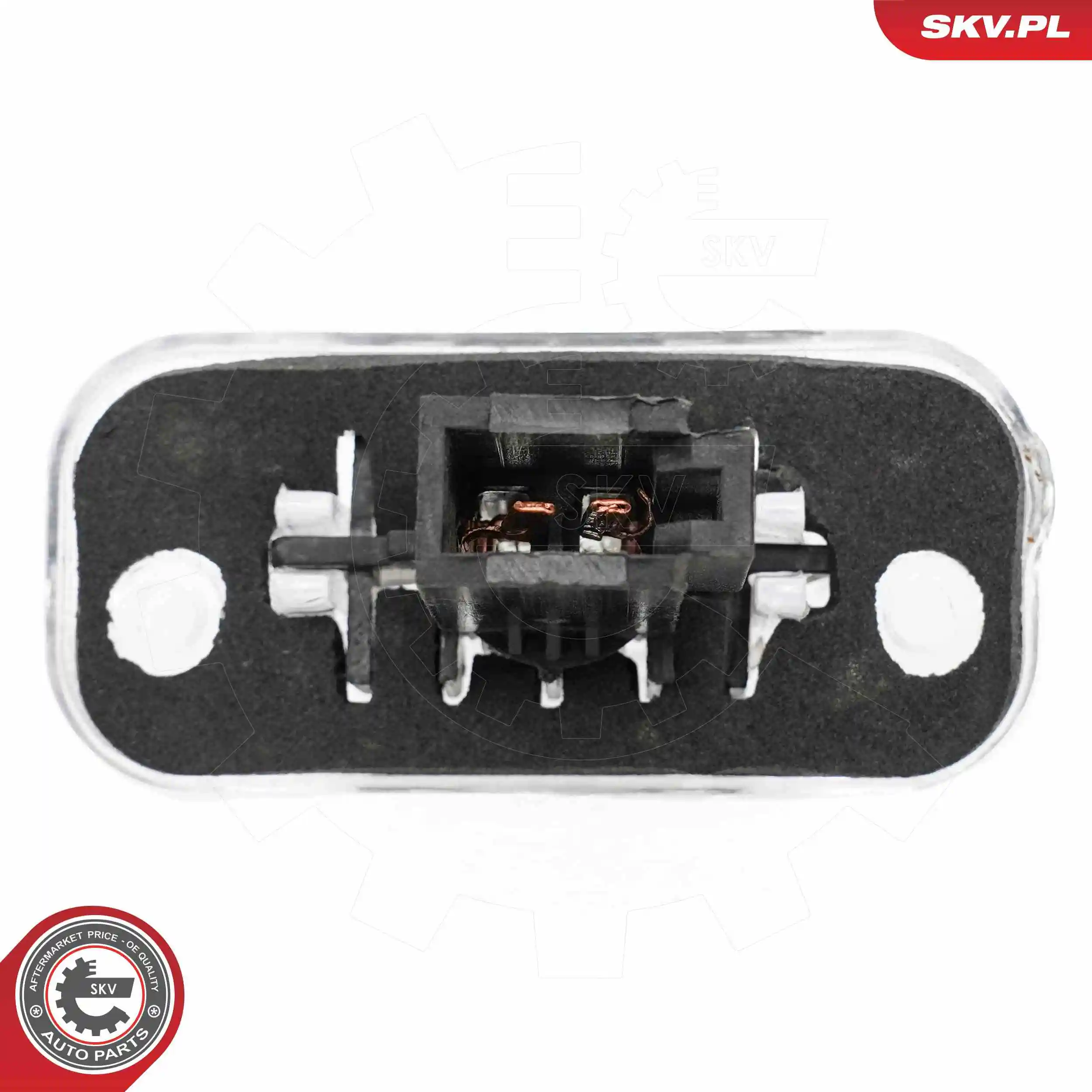 Licence Plate Light 72SKV020