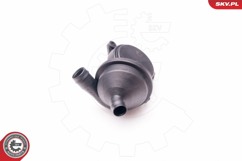 Separador de aceite, ventilación del cárter 31SKV041